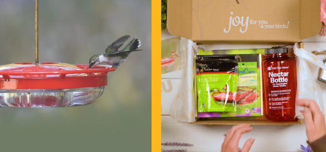 Hummingbird Feeder Gift Set