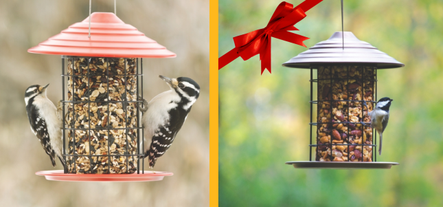  Tidy Seed Cylinder Bird Feeder with Cranberry Fare Seed Cylinder