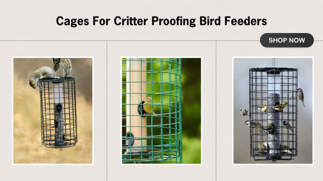 Cages for Critter Proofing Feeders